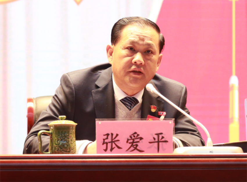张爱平同志宣读中共安博官方网站,安博anbo(中国)第一届党委成员分工及纪委成员分工